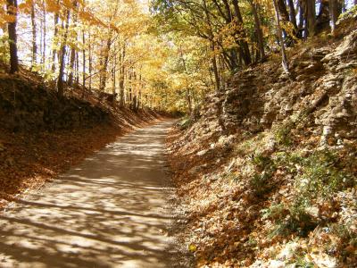 Fall Foliage over Trail
