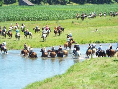 Horses crossing river