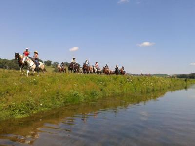 Horses riding along the river